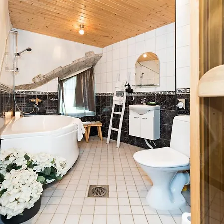Historical Two-bedroom With Sauna, Jacuzzi And Fireplace Appartement